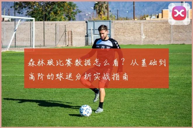 森林狼比赛数据怎么看？从基础到高阶的球迷分析实战指南